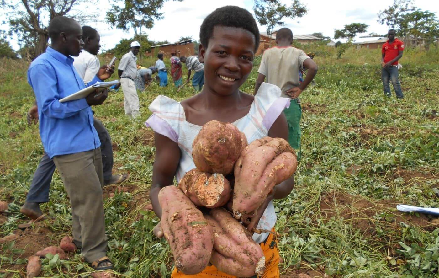 International Potato Center (CIP)